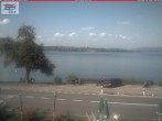 Archived image Webcam Untersee (Lake Constance) 13:00