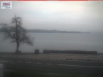 Archiv Foto Webcam Berlingen - Blick auf den Untersee 07:00