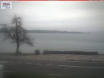 Archiv Foto Webcam Berlingen - Blick auf den Untersee 09:00