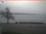 Archiv Foto Webcam Berlingen - Blick auf den Untersee 11:00