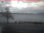 Archiv Foto Webcam Berlingen - Blick auf den Untersee 09:00