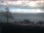 Archiv Foto Webcam Berlingen - Blick auf den Untersee 11:00