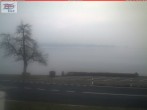 Archiv Foto Webcam Berlingen - Blick auf den Untersee 06:00