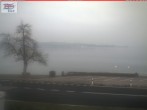 Archiv Foto Webcam Berlingen - Blick auf den Untersee 09:00