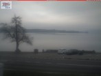 Archiv Foto Webcam Berlingen - Blick auf den Untersee 13:00