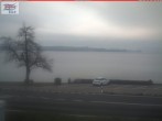 Archiv Foto Webcam Berlingen - Blick auf den Untersee 15:00