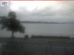 Archived image Webcam Untersee (Lake Constance) 09:00