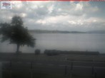 Archived image Webcam Untersee (Lake Constance) 11:00