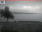 Archiv Foto Webcam Berlingen - Blick auf den Untersee 06:00