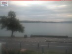 Archived image Webcam Untersee (Lake Constance) 05:00