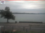 Archiv Foto Webcam Berlingen - Blick auf den Untersee 08:00