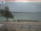 Archiv Foto Webcam Berlingen - Blick auf den Untersee 11:00
