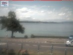 Archiv Foto Webcam Berlingen - Blick auf den Untersee 13:00
