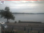 Archiv Foto Webcam Berlingen - Blick auf den Untersee 07:00
