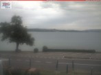 Archiv Foto Webcam Berlingen - Blick auf den Untersee 07:00