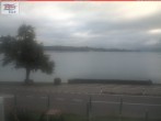 Archiv Foto Webcam Berlingen - Blick auf den Untersee 06:00