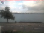 Archiv Foto Webcam Berlingen - Blick auf den Untersee 07:00