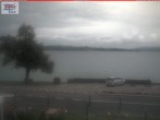 Archived image Webcam Untersee (Lake Constance) 09:00