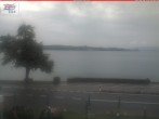 Archiv Foto Webcam Berlingen - Blick auf den Untersee 07:00