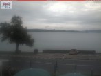 Archiv Foto Webcam Berlingen - Blick auf den Untersee 11:00