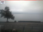 Archiv Foto Webcam Berlingen - Blick auf den Untersee 06:00