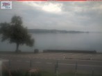 Archiv Foto Webcam Berlingen - Blick auf den Untersee 07:00