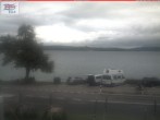 Archiv Foto Webcam Berlingen - Blick auf den Untersee 08:00