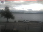 Archiv Foto Webcam Berlingen - Blick auf den Untersee 11:00