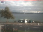 Archiv Foto Webcam Berlingen - Blick auf den Untersee 08:00