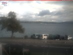 Archiv Foto Webcam Berlingen - Blick auf den Untersee 09:00