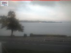 Archiv Foto Webcam Berlingen - Blick auf den Untersee 07:00