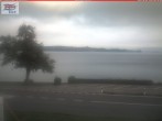 Archiv Foto Webcam Berlingen - Blick auf den Untersee 08:00