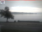 Archiv Foto Webcam Berlingen - Blick auf den Untersee 07:00