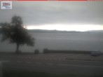 Archiv Foto Webcam Berlingen - Blick auf den Untersee 07:00