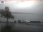Archived image Webcam Untersee (Lake Constance) 11:00