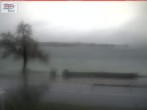 Archiv Foto Webcam Berlingen - Blick auf den Untersee 07:00