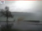 Archiv Foto Webcam Berlingen - Blick auf den Untersee 09:00