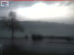 Archiv Foto Webcam Berlingen - Blick auf den Untersee 13:00