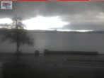 Archiv Foto Webcam Berlingen - Blick auf den Untersee 07:00