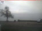 Archiv Foto Webcam Berlingen - Blick auf den Untersee 07:00