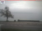 Archiv Foto Webcam Berlingen - Blick auf den Untersee 11:00