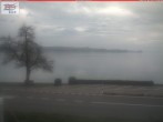 Archiv Foto Webcam Berlingen - Blick auf den Untersee 13:00