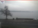 Archiv Foto Webcam Berlingen - Blick auf den Untersee 07:00
