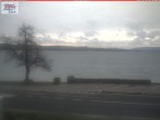 Archiv Foto Webcam Berlingen - Blick auf den Untersee 08:00