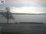 Archiv Foto Webcam Berlingen - Blick auf den Untersee 10:00
