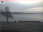 Archiv Foto Webcam Berlingen - Blick auf den Untersee 13:00