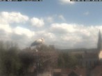 Archiv Foto Webcam Storchennest Rathaus Meßkirch 09:00