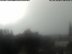 Archived image Webcam Stork Nest Meßkirch 15:00