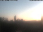 Archived image Webcam Stork Nest Meßkirch 05:00