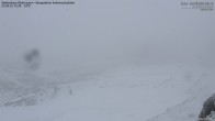 Archived image Webcam View Seekarspitz top station 11:00